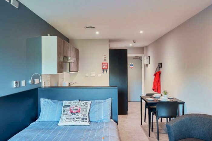 Studio To Rent In Alumno Falmer - Classic Studio, BN1