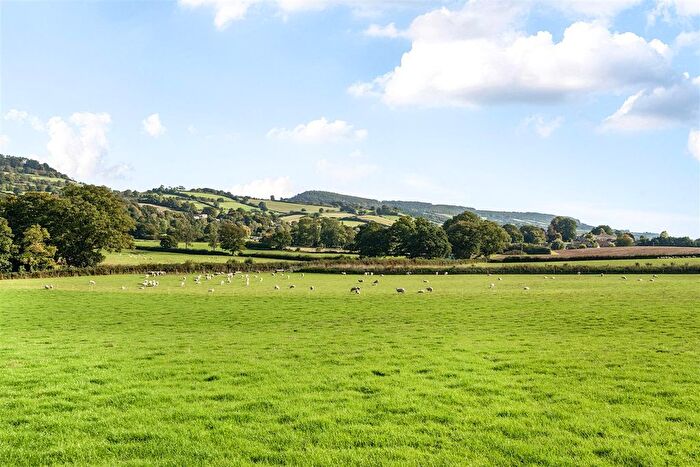 Land For Sale In Fluxton, Ottery St Mary, EX11