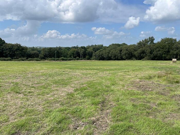 Land For Sale In Witheridge, Tiverton, EX16