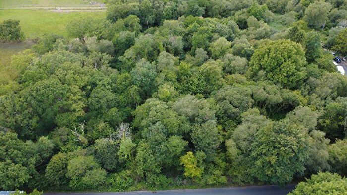 Land For Sale In Approximately . Acres Of Woodland, Neath Road, Rhos, Swansea, SA8
