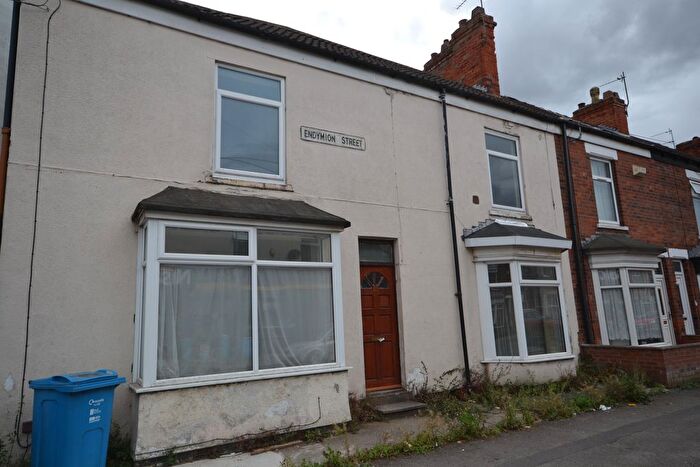 2 Bedroom Terraced House For Sale In Endymion Street, Hull, HU8