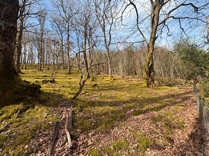 Farm Land For Sale In Ffarmers, Llanwrda, SA19