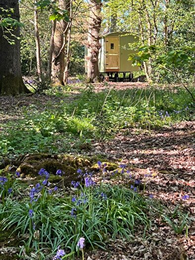 Land For Sale In Hogpits Wood, Hogpits Bottom, Flaunden, Hemel Hempstead, Hertfordshire, HP3