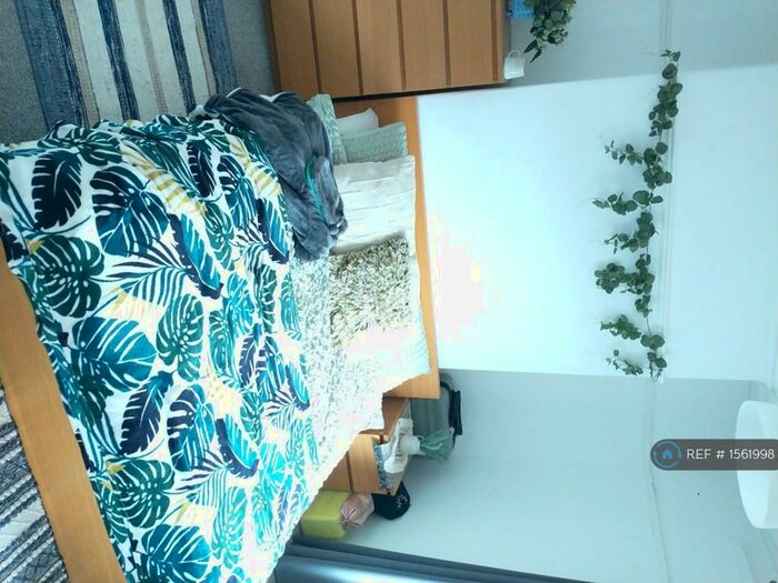 5 Bedroom Terraced House To Rent In Rhyddings Terrace, Brynmill, Swansea, SA2