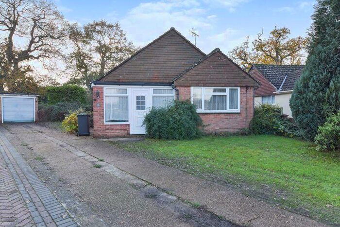 3 Bedroom Detached Bungalow To Rent In Andrew Crescent, Waterlooville, PO7