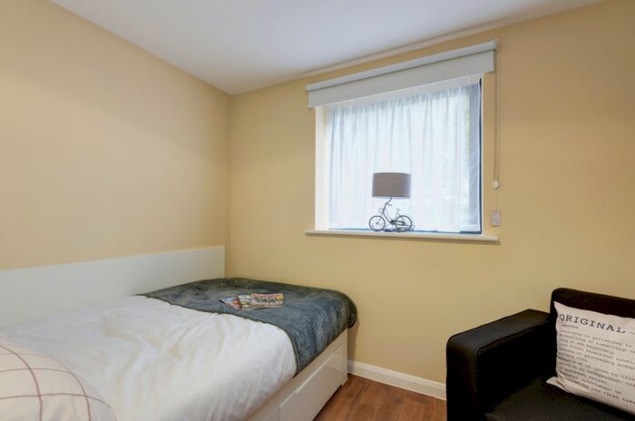 1 Bedroom Studio To Rent In Dean St, Bangor 1Us, United Kingdom, Bangor LL57