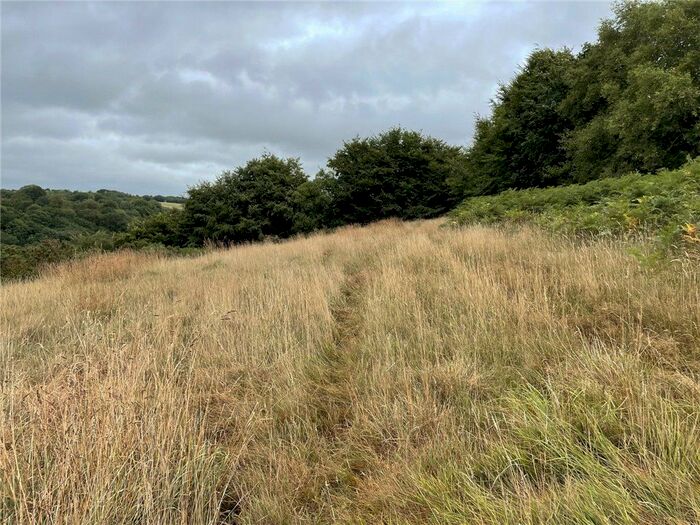 Land For Sale In Knowstone, South Molton, Devon, EX36