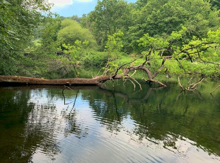 Land For Sale In Woddland And Lakes, At Dimmingsdale, Alton, Staffordshire, ST10