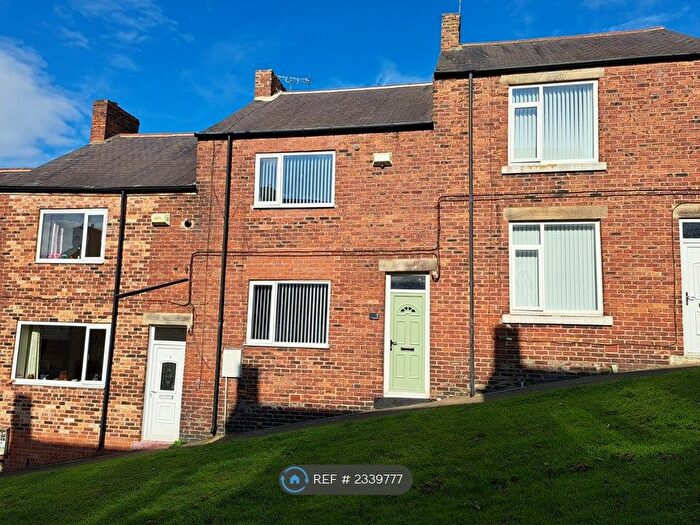 3 Bedroom Terraced House To Rent In Tulip Street, Prudhoe, NE42