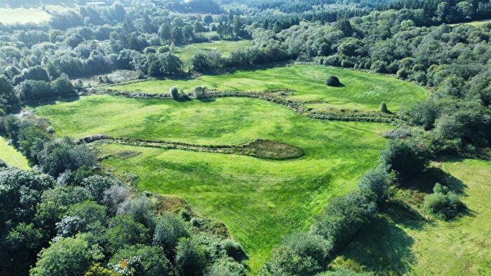 Farm Land For Sale In Rhydcymerau, Llandeilo, SA19
