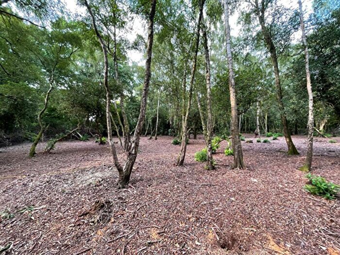 Land For Sale In Forest Road, Colgate, Horsham, RH12