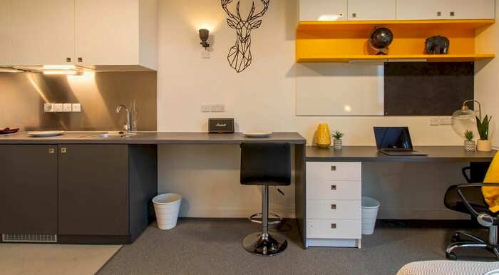 1 Bedroom Studio To Rent In 16 Havannah Street, Glasgow G4