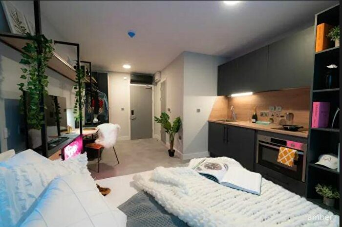 Flat To Rent In Guilden Village, Guildford, Classic Studio, GU1