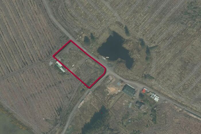 Land For Sale In Plot At North Quintfall Forest, Lyth, Caithness, KW1