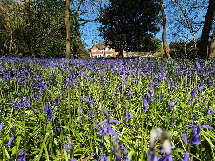 5 Bedroom Detached House For Sale In Martinsend Lane, Great Missenden, HP16