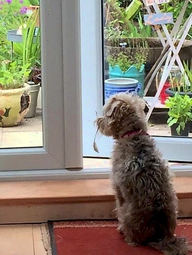 Garage / Parking To Rent In Kingston Road, Teddington, TW11