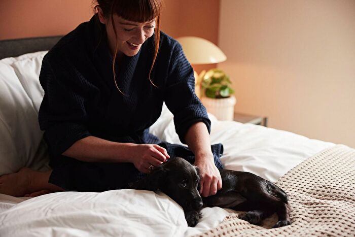 2 Bedroom Flat To Rent In Hove Gardens, Ethel Street, Hove, BN3