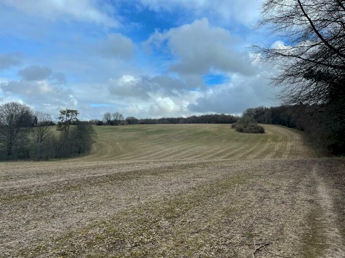 Land For Sale In Land Off Coombe Lane, GU32