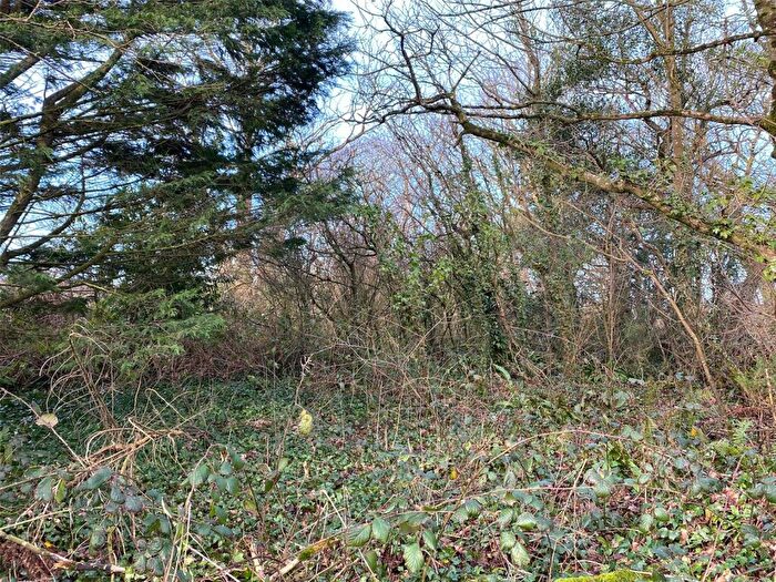 Land For Sale In Tremaine, Launceston, Cornwall, PL15