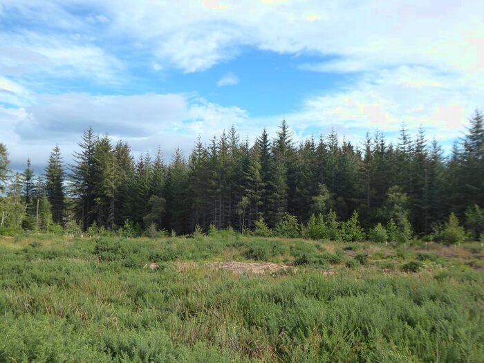 Land For Sale In Cossack Wood, Craigellachie, AB38
