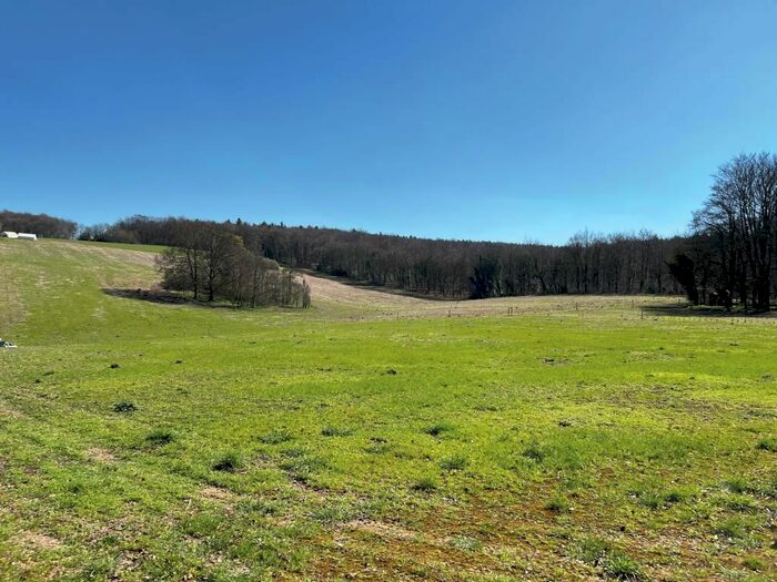 Land For Sale In Parcels &amp;, Westbury Park, West Meon, Petersfield, Hampshire, GU32