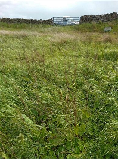 Land For Sale In Land At Hard Hills, South Stainmore, Kirkby Stephen, CA17