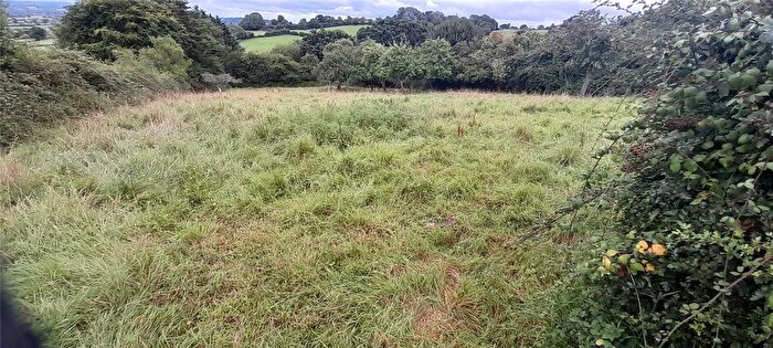 Equestrian Property For Sale In Glastonbury, Somerset, BA6