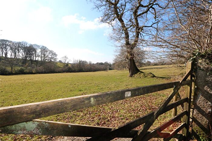 Land For Sale In Whitchurch, Tavistock, PL19