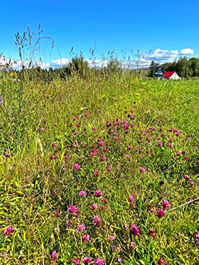 Land For Sale In Ballimore Estate, Kilchrenan, PA35