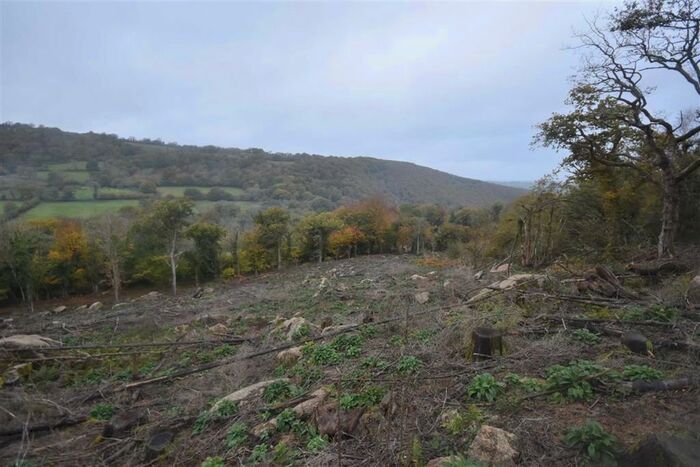 Land For Sale In Bridford Wood, Moretonhampstead, Devon TQ13