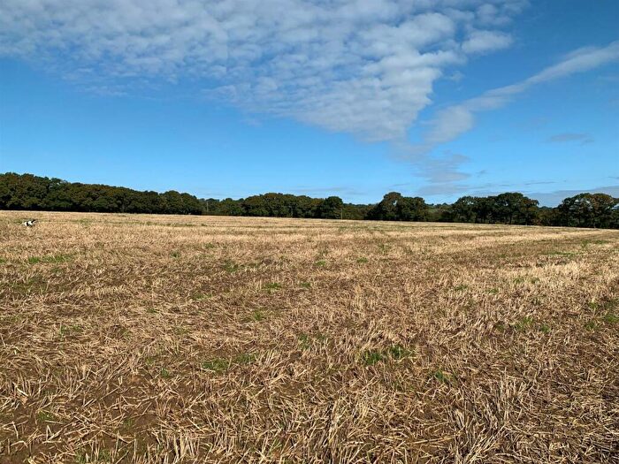 Land For Sale In Bratton Clovelly, EX20