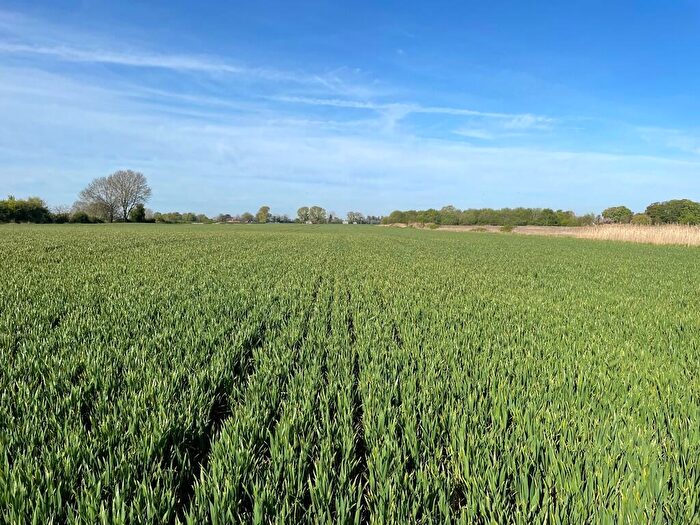 Farm Land For Sale In Arable Land For Sale By Informal Tender, PE13