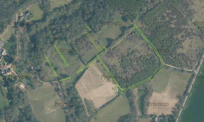 Land For Sale In Stane Street, Ockley, RH5