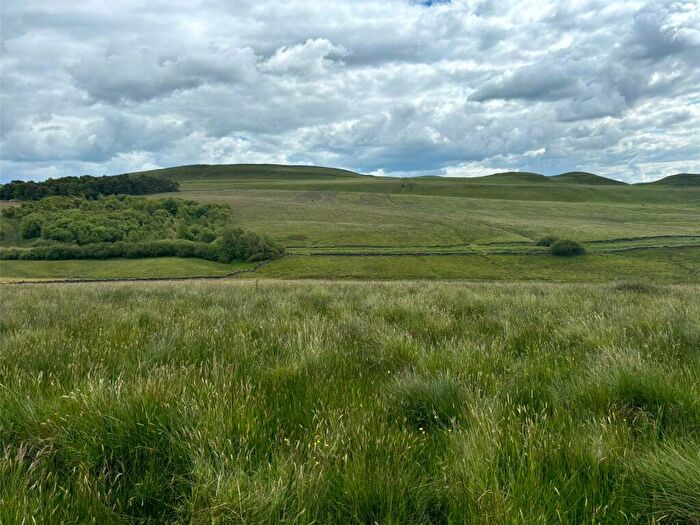 Land For Sale In Haltwhistle, Northumberland, NE49