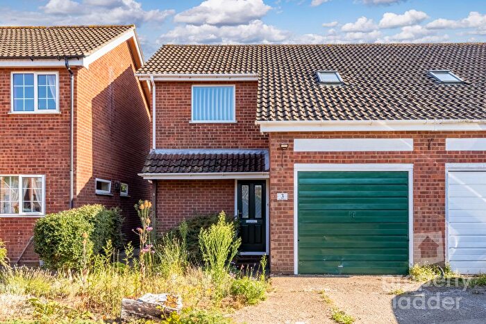 3 Bedroom Semi Detached House For Sale In Plumstead Road, Norwich, NR1