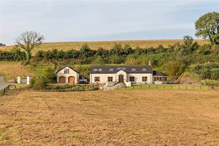8 Bedroom Detached House For Sale In Buckshead Road, Downpatrick, BT30