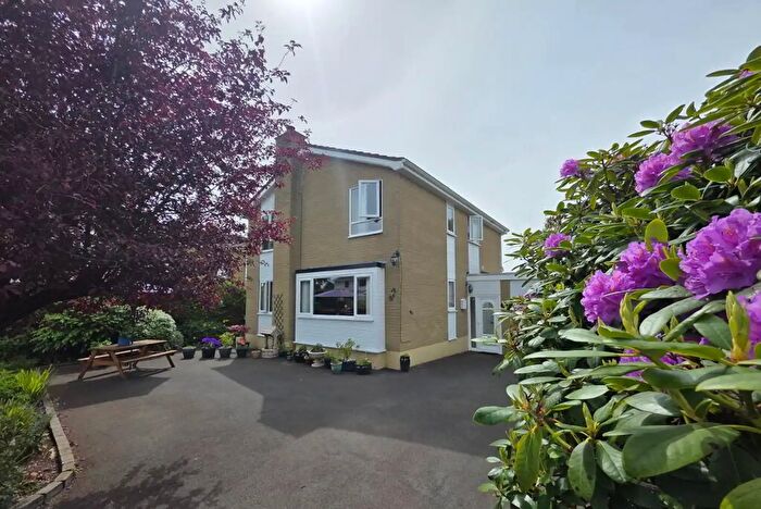 4 Bedroom Detached House For Sale In The Meadows, Ballymoney, BT53