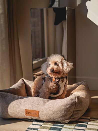 1 Bedroom Flat To Rent In Biscuit Walk, Bermondsey, London, SE16