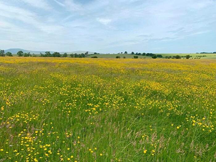 Land For Sale In Land Opposite Inglewood Edge, Skelton, CA5