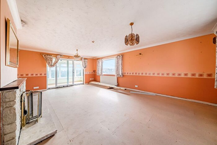 3 Bedroom Detached Bungalow For Sale In Beech Tree Close, Cattistock, DT2