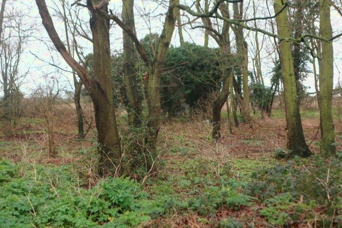 Land For Sale In Land Off Benacre Road, Henstead, Beccles, Suffolk, NR34