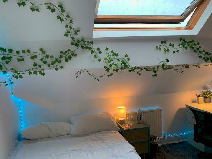 8 Bedroom Detached House To Rent In Argyle Avenue, Victoria Park, Manchester, M14