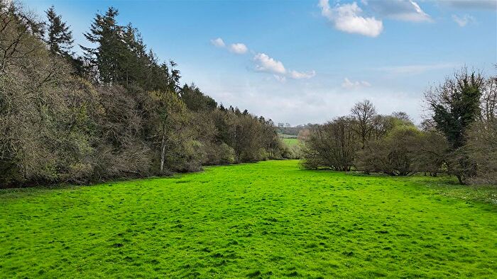 Land For Sale In Whitestaunton, Chard, Somerset, TA20