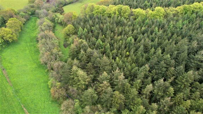 Land For Sale In Rural Huntshaw, EX38