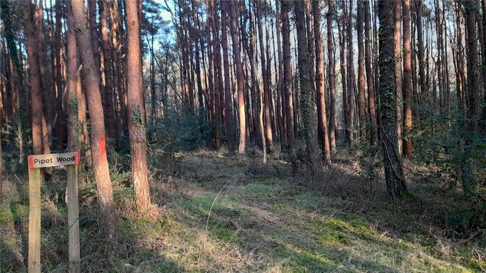 Land For Sale In Summer Lane, Beaulieu, Brockenhurst, Hampshire, SO42