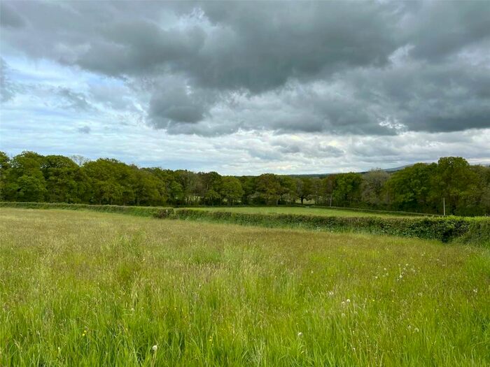 Land For Sale In Broadwoodkelly, Winkleigh, Devon, EX19