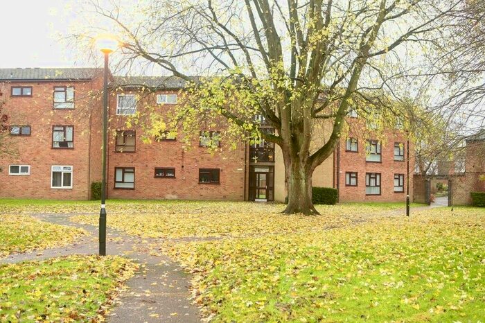 3 Bedroom Flat To Rent In Pippin Green, Norwich NR4