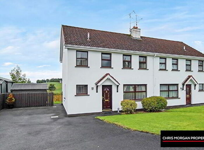 3 Bedroom Semi-Detached House For Sale In Park View, Dungannon, BT71