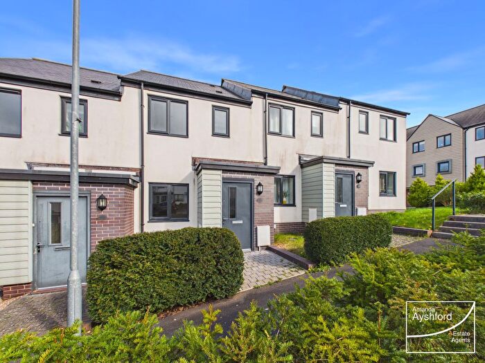 2 Bedroom Terraced House For Sale In Hollyhock Way, Paignton, TQ4