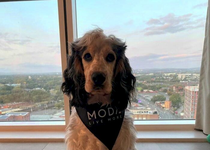 2 Bedroom Flat To Rent In Angel Gardens, Manchester, M4